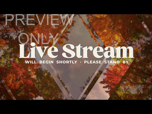 Fall Trees Live Stream Still