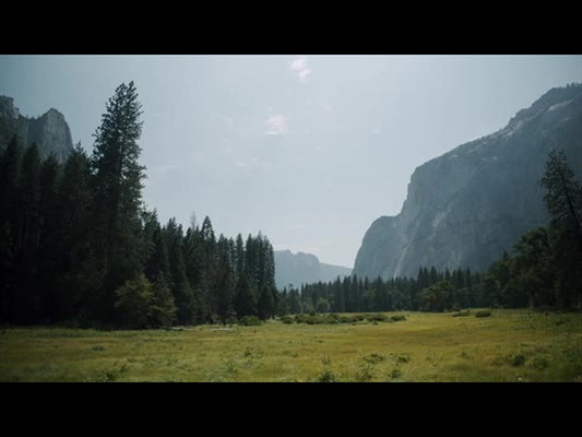 Yosemite Meadows Motion - 01
