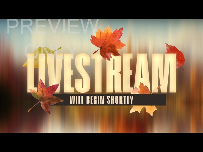 Autumnscape Livestream Graphic