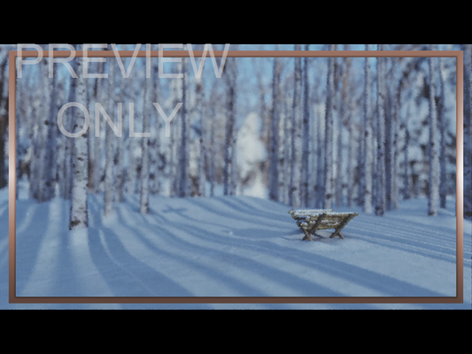 Christmas Joy: Still Manger 04