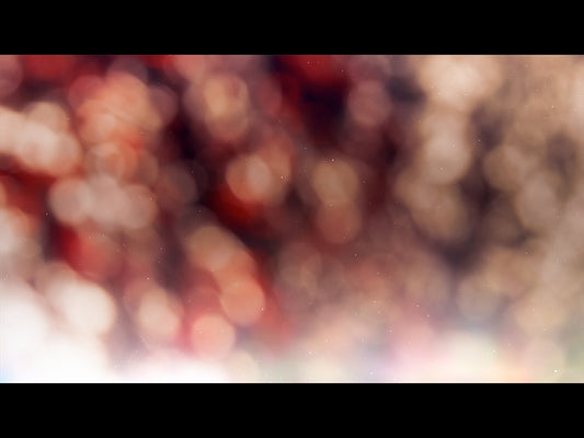 Christmas Light: 8