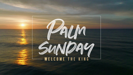 Sunrise Ocean Palm Sunday Still