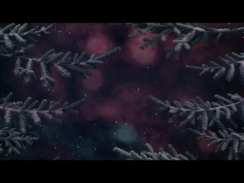 Christmas Wintertide 4