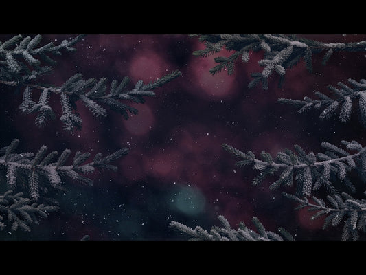 Christmas Wintertide 4