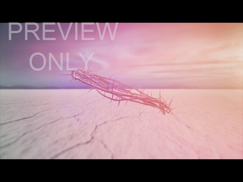 The Road To Easter: Crown Of Thorns Still