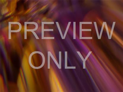 Sacred Light 11 Still