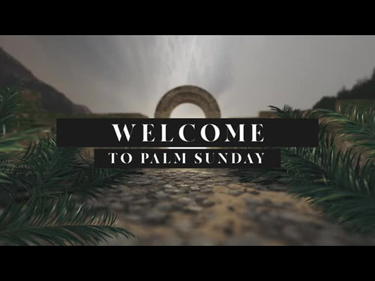 His Plan Is Perfect: Welcome Palm