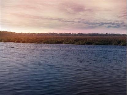 Tidelands 6
