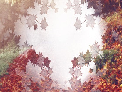 Crisp Morning 4 Motion