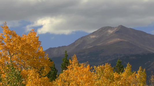 Green And Yellow Peak