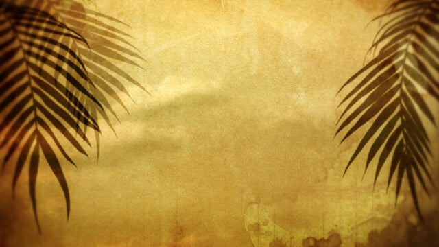 Rustic Palms 01