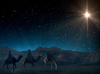 Starry Night Nativity 3