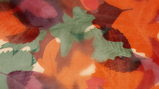 Layers Of Leaves Loop 03