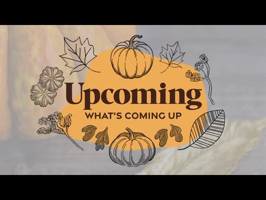 Line Art Autumn Upcoming