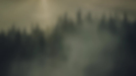 Lumberjack Dad Dusk Alt Still