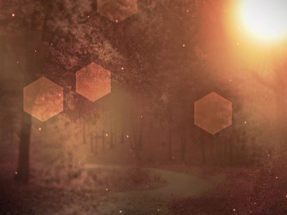 Fall Background 2 Loop Vol 4