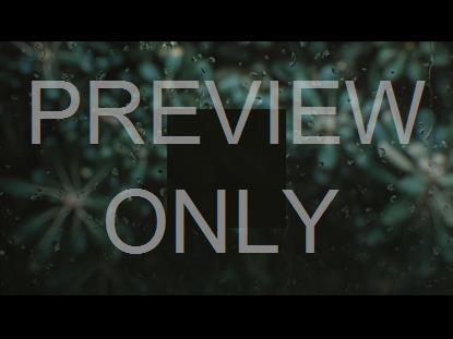 Rain And Plants Square