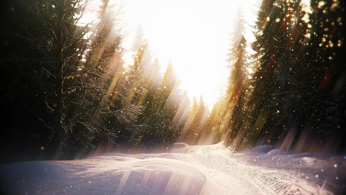 Holiday Visions 4 Still