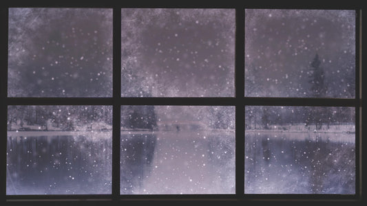 Christmas Windows 2 Still