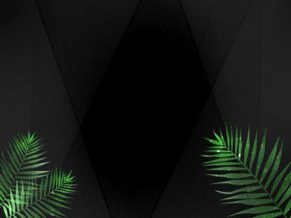 Palm Leaf 2 Motion