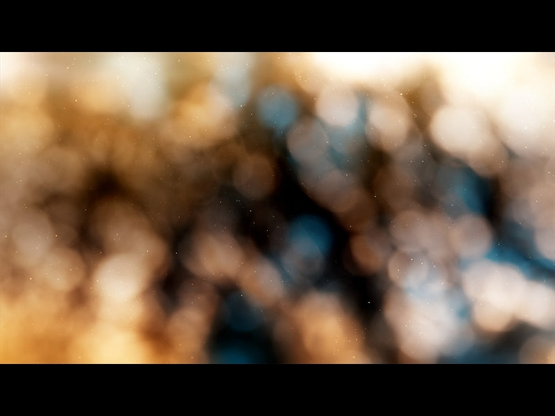 Christmas Light: 10