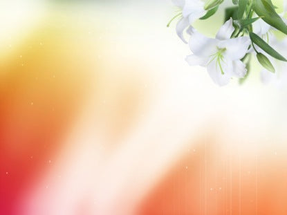 Easter Lilies