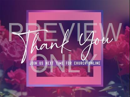 Mothers Day Roses Stream Close Still