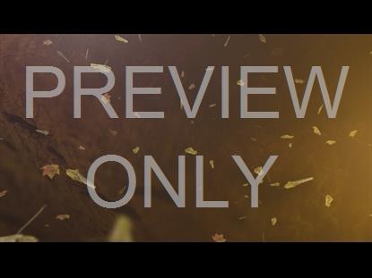 Thankful Fall 4 Graphic