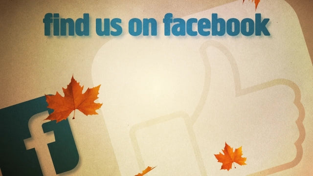 Facebook Fall