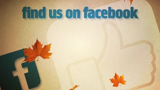 Facebook Fall
