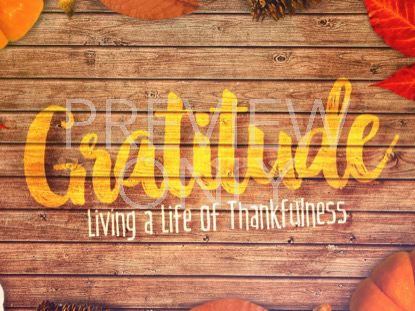 Gratitude Title Still