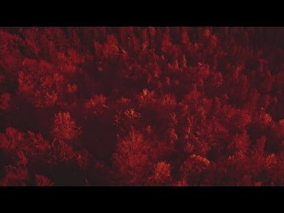 Autumn Leaves Orange Alt