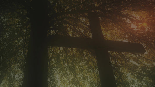 Cross 12 Alt Still