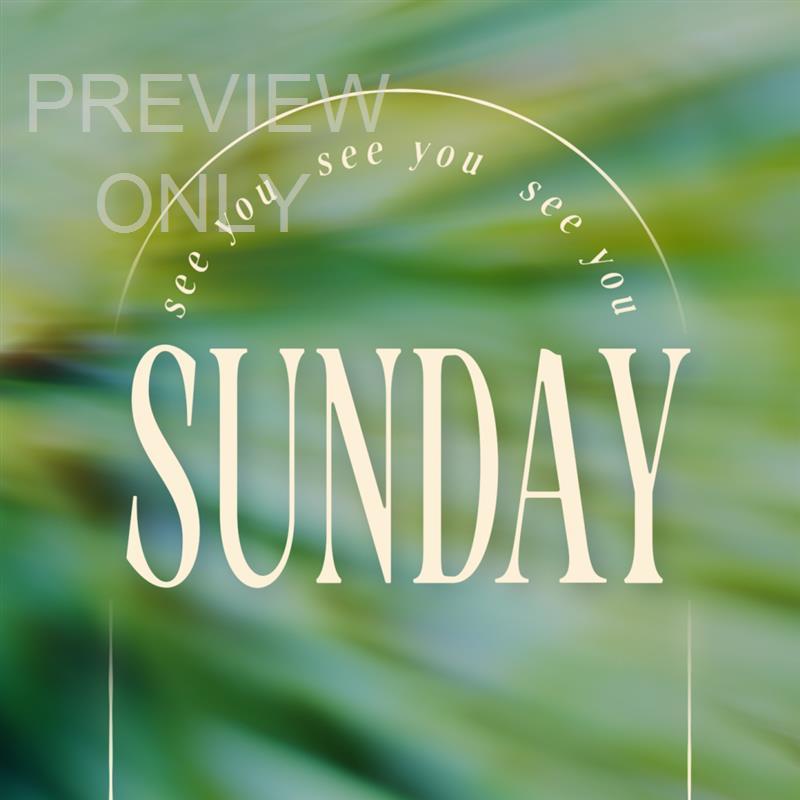 Forest Light Social Graphic 01