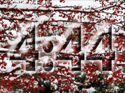 Snowy Winter Countdown