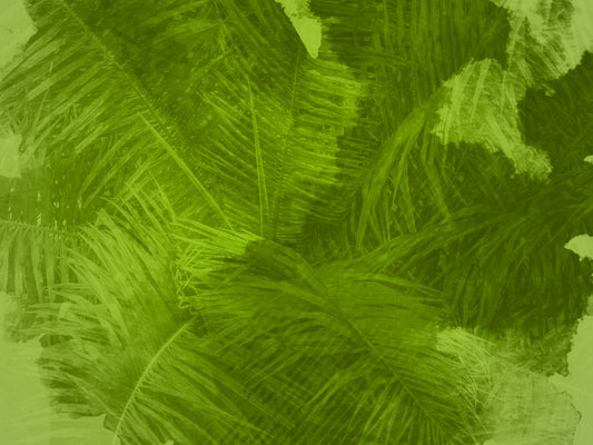 A King'S Welcome Motion 3