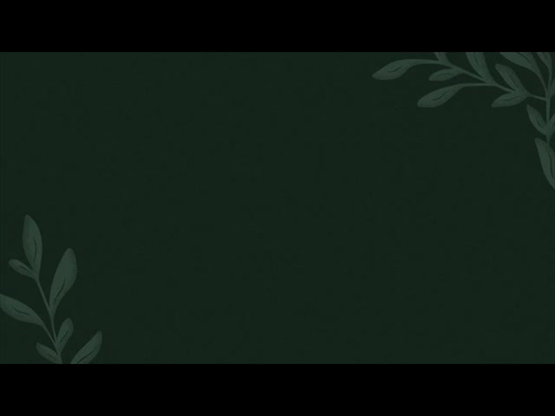 New Beginnings Loop 3