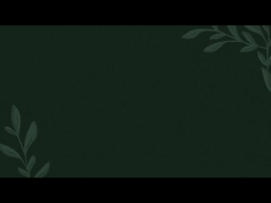 New Beginnings Loop 3