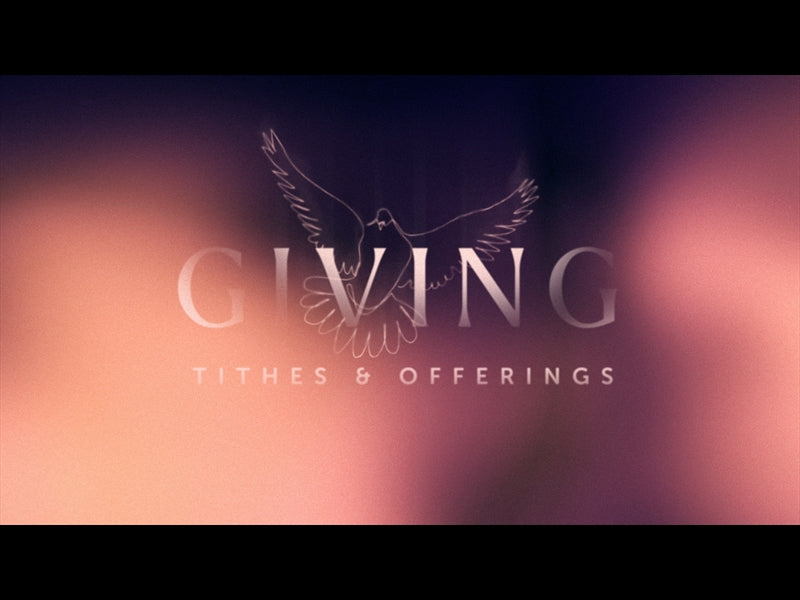 Soaring Giving