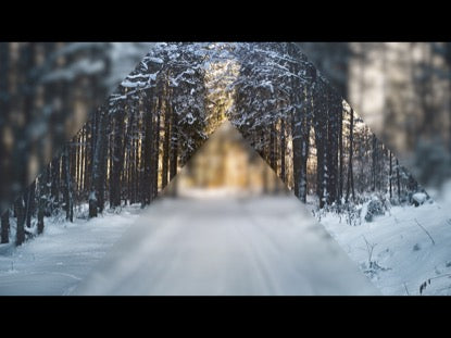 Frosted Winter 2