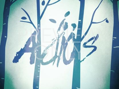 Fall Birch Trees Closing Still - Spanish