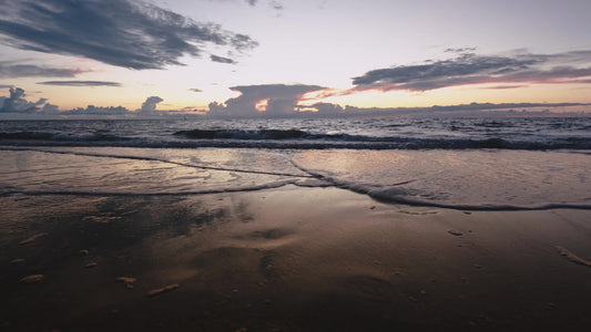 Spring Nature Motion 02