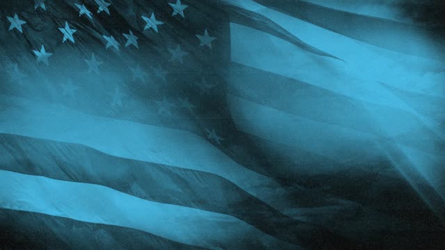 Veterans Day Flag 05