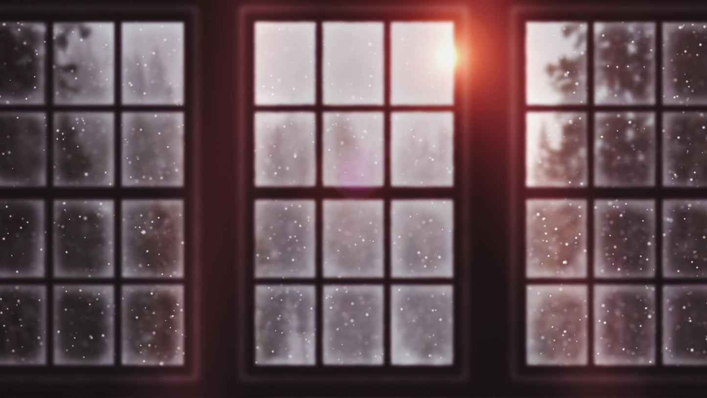 Winter Windows Frosted Still