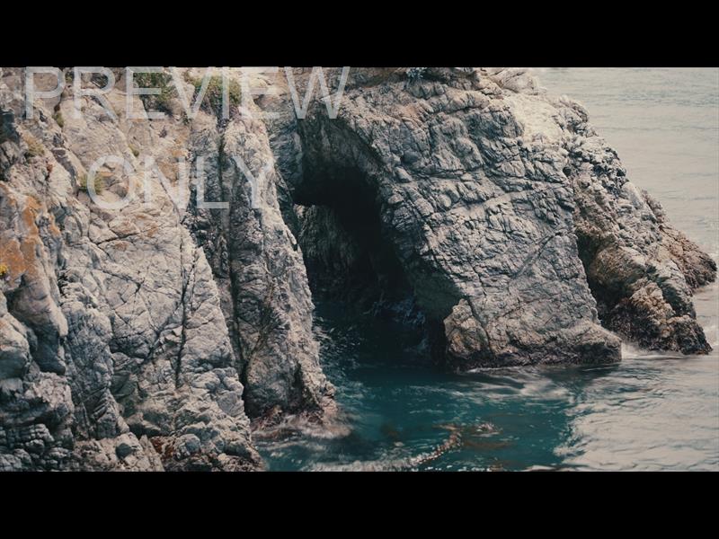 Point Lobos 11 Still