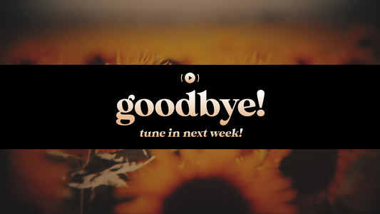 Vintage Sunflowers Exit Stream