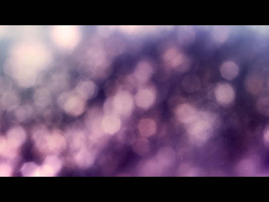 Christmas Light: 11