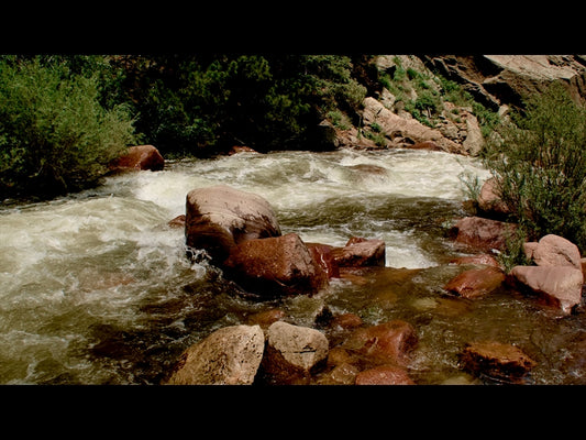 El Dorado Motion 17