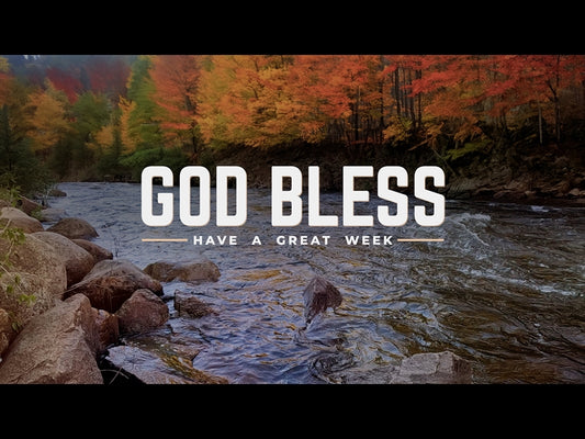 Northwest Fall Close