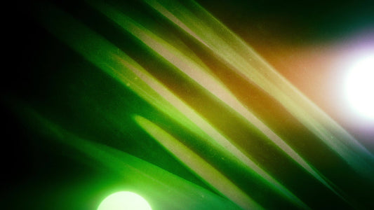 Hidden Motion 9 Still
